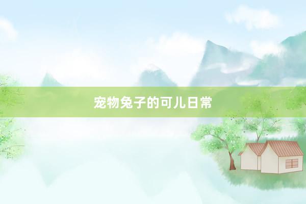 宠物兔子的可儿日常