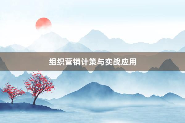 组织营销计策与实战应用